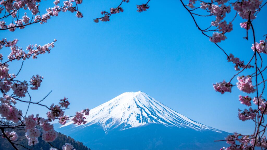 Cruise Japan