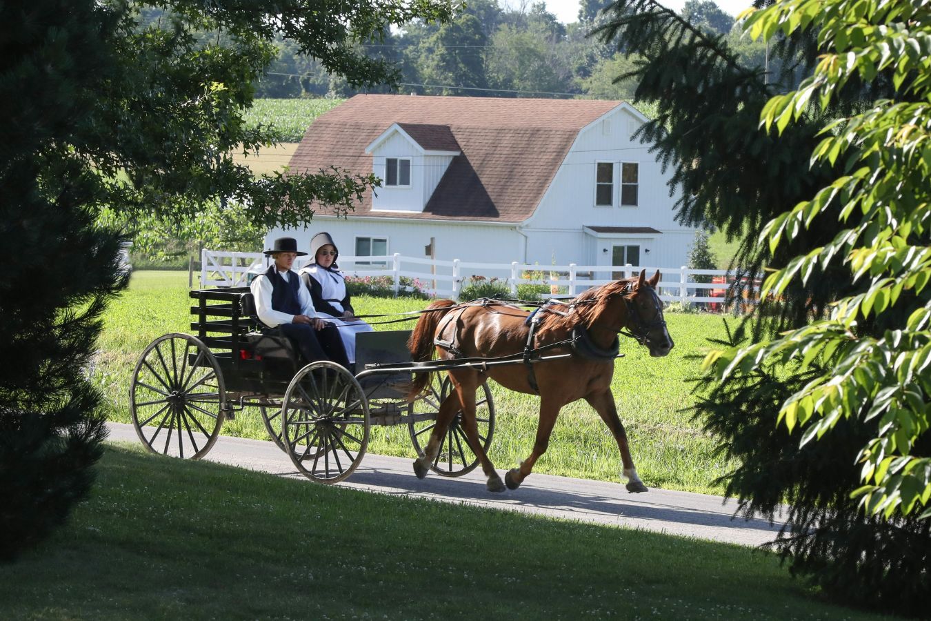 Authentieke paard en wagen van de Amish-gemeenschap in de regio Lancaster – Brasschaat Travel