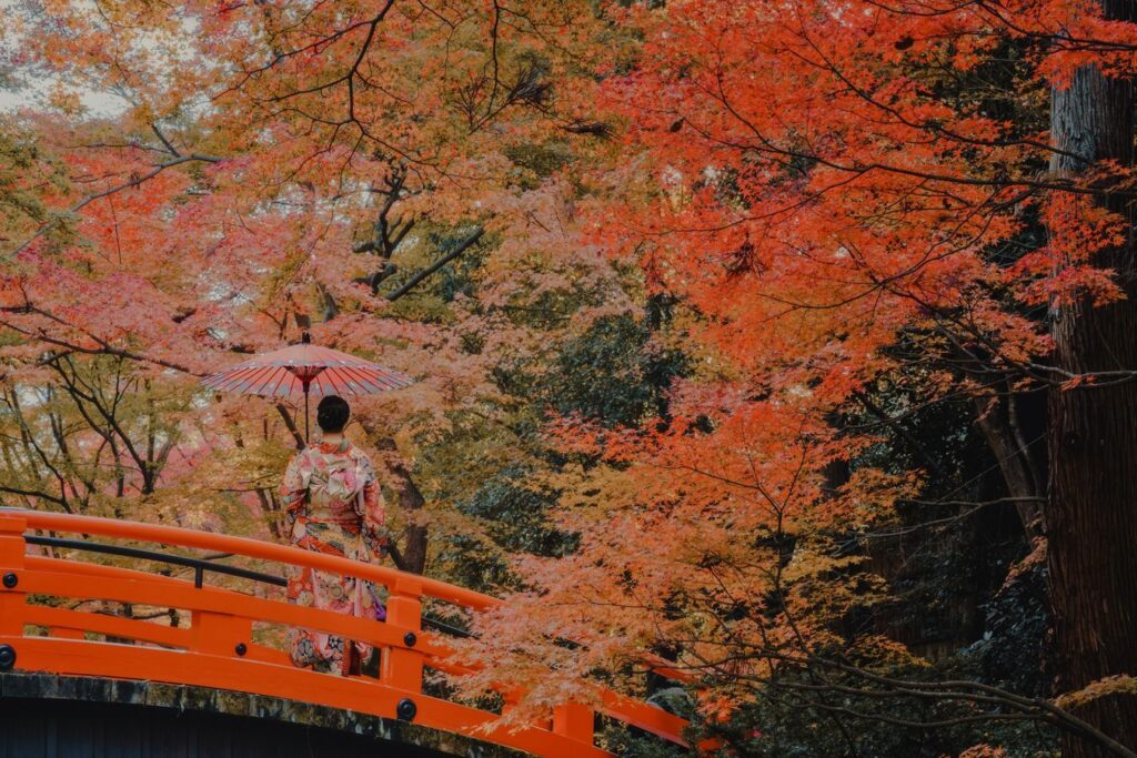 Vrouw in kimono met parasol op een rode brug tussen herfstkleurige esdoorns